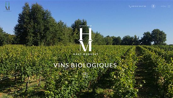 Création de site pour un vignoble à Génissac